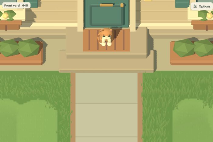 A close view of Buttercup House's cat resting by the front door.